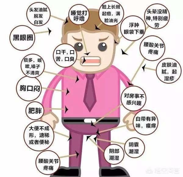湿气分为湿热和湿寒痰湿,湿气与气虚的关系