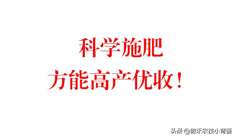 记住这四点不会买到假肥料,各种假肥料大全