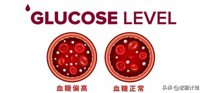 糖类和血脂的区分,糖类吃多了会引起血脂粘稠吗