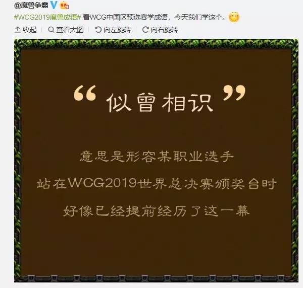 ted进wcg八强了吗,wcg夺冠ted