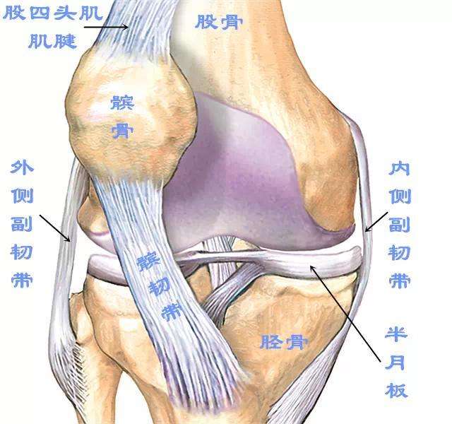 髌骨不舒服应该怎么锻炼,髌骨不肿可是疼怎么办