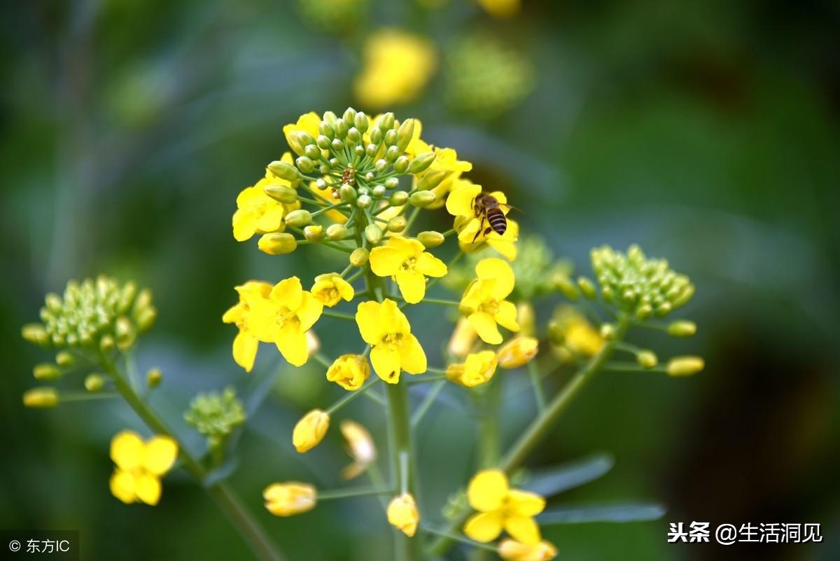 人心叵测要谨慎提防,人心叵测永远琢磨不透