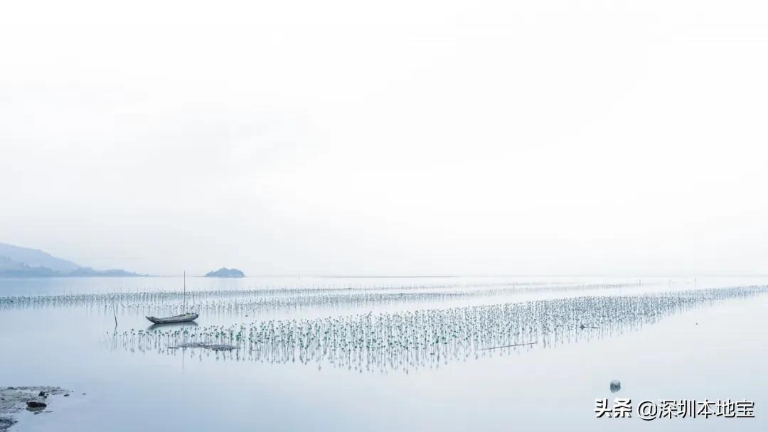深圳最美海岛旅游攻略,深圳周边海岛旅行推荐