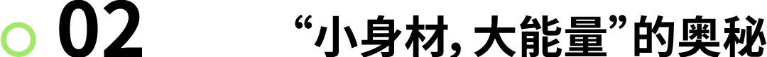 缓震和轻量怎么选,轻量缓震