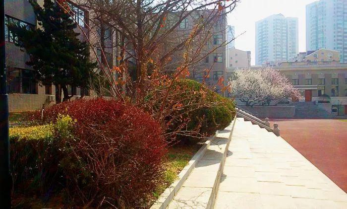 大连市第十三高级中学,大连市第八中学在辽宁省排名