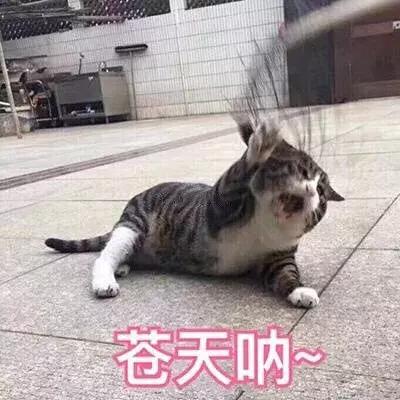 泰国3ce便宜吗,韩国版本3ce