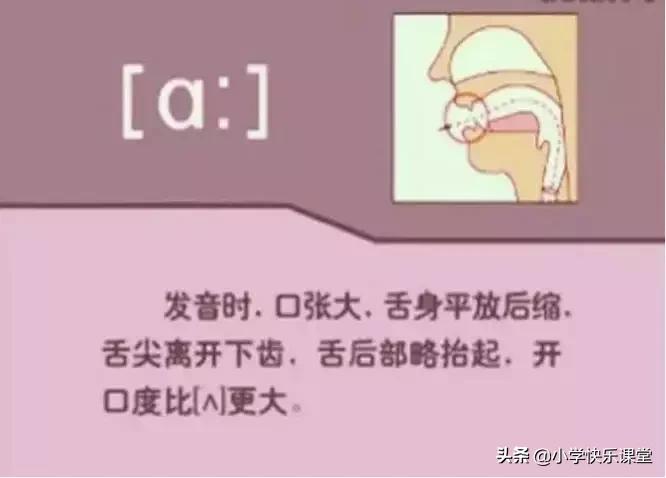 48个国际音标的发音口型视频图,英语48个音标发音口型视频