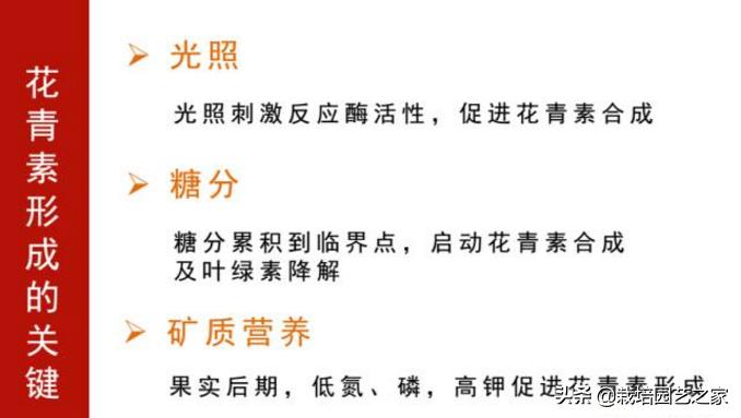葡萄上色哪种最好,葡萄需求上色的有哪些品种