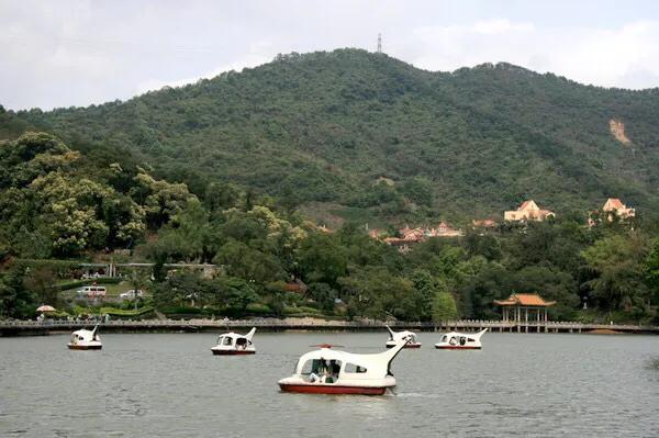 深圳免费公园哪里最好啊,深圳十大免费公园景点大全