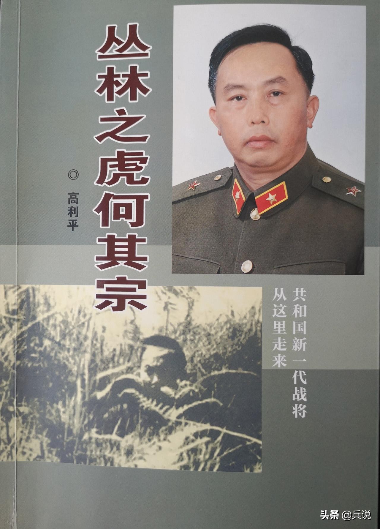 东线对越反击战,对越反击西线
