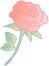 3.8女神节网购,3.8女神节买衣服