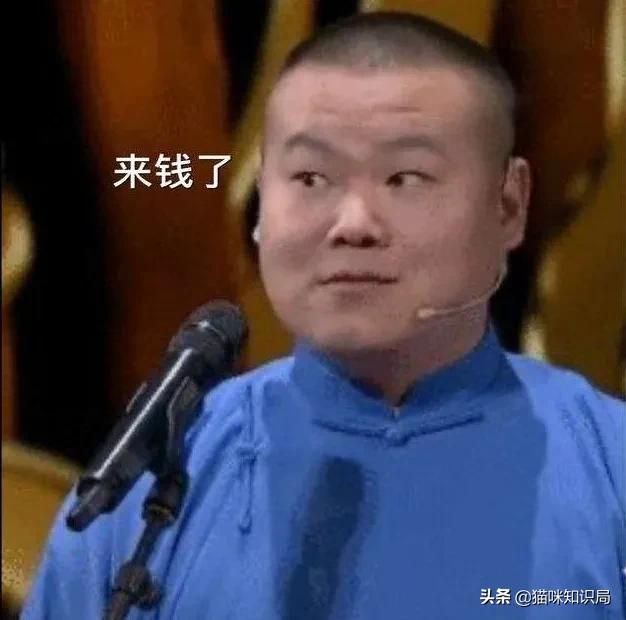 转发给爸妈：养猫到底有啥好？能治病