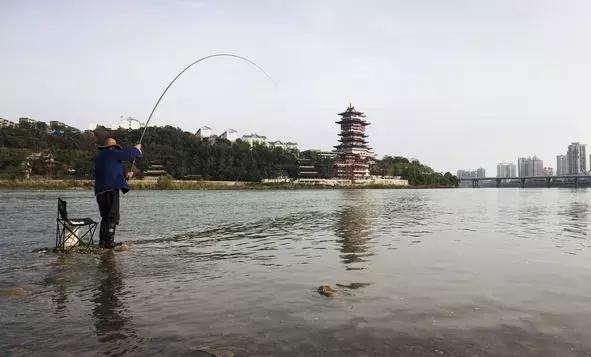 鱼竿的选择,8.1米鱼竿水库钓鱼需求几h的鱼竿