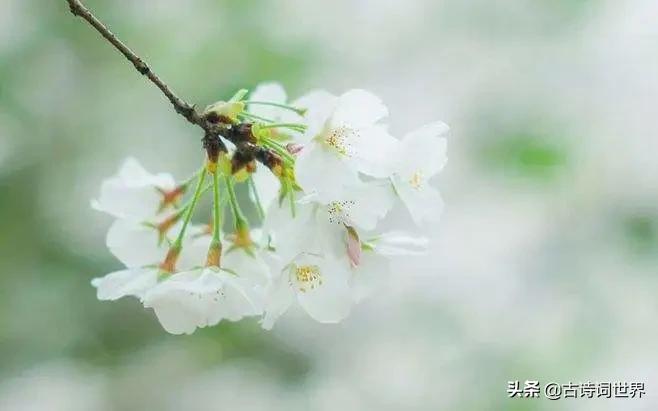 您语文好，请来读读试试，防老年痴呆