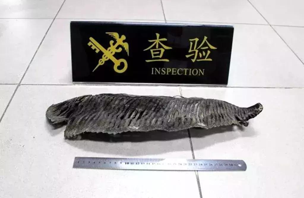 去香港带什么会被罚款,深圳人去香港可以呆多久