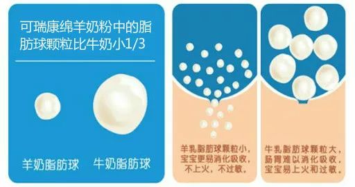 澳洲奶粉真实事件,澳洲牛奶真实情况