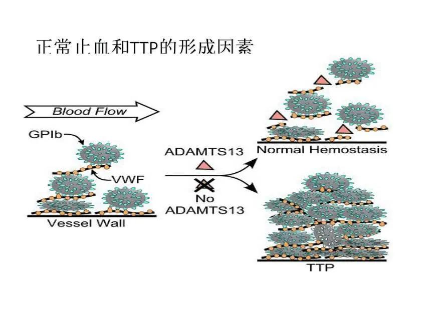 爱心接力警民联手救助晕倒旅客,爱心接力抢救视频