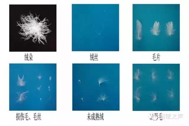 羽绒被漏绒原因,充绒机羽绒被飘绒怎么办