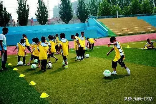 30万足球老师的生存状态调查
