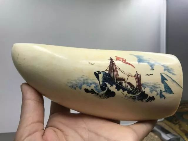 文玩流行的动物制品 (十种野生文玩)