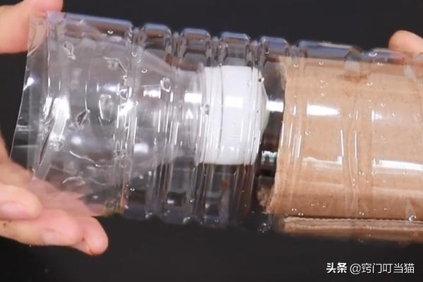 小常识灭蟑螂,灭蟑螂的最好方法家中无蟑螂