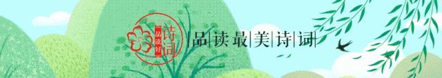 古诗词鉴赏看什么书,诗词鉴赏小学生必背古诗