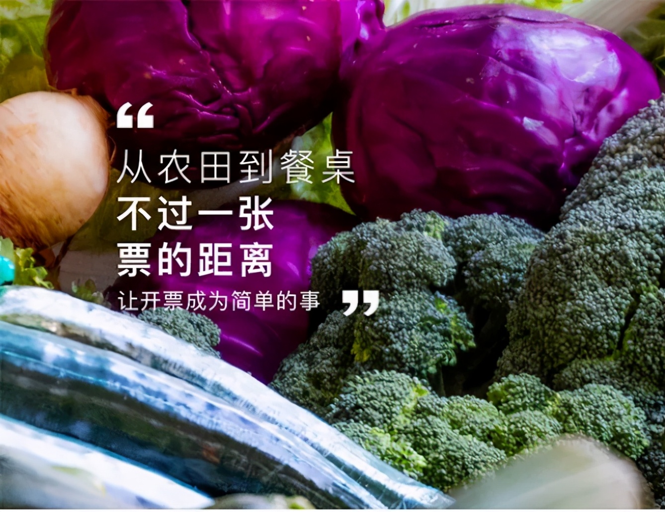 诺诺网开个人电子发票流程,诺诺电子发票软件