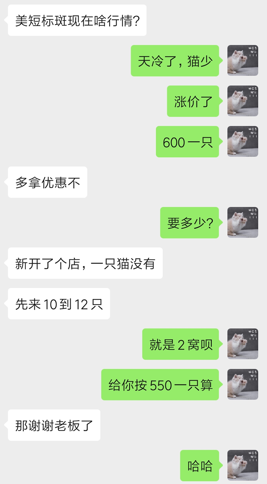 宠物店生意好做吗,宠物店生意前景怎么样