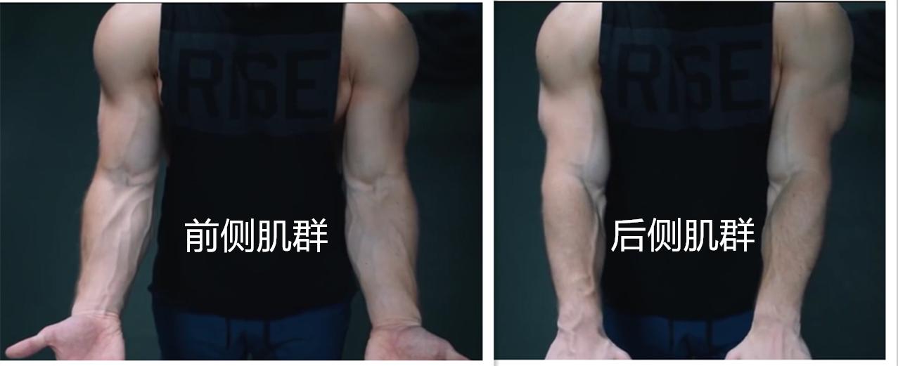 手臂看起来不粗？可能是小臂不发达！送你一份小臂训练攻略