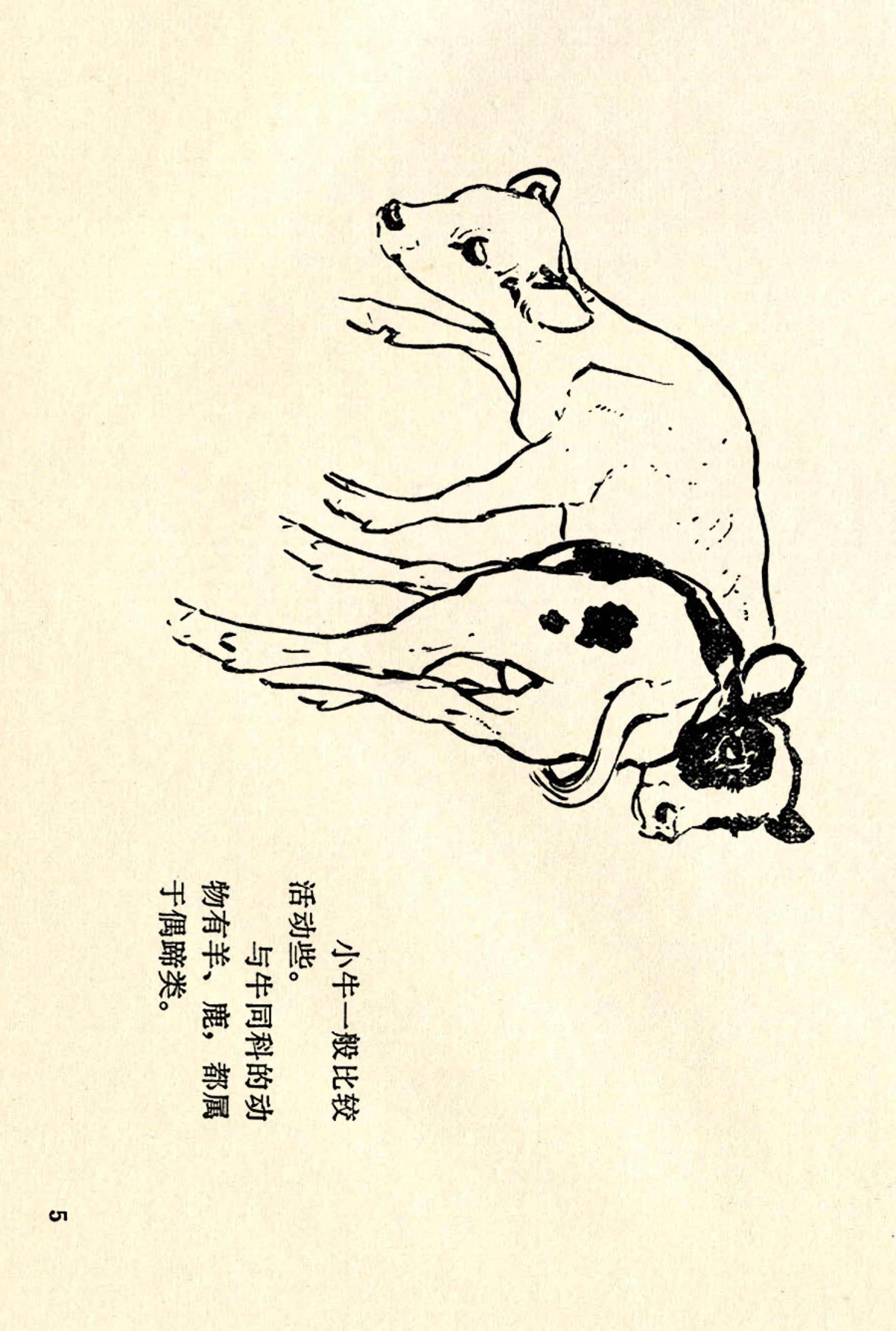 刘继卣画的学习方法,刘继卣动物插画