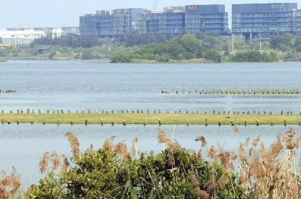 深圳免费公园哪里最好啊,深圳十大免费公园景点大全