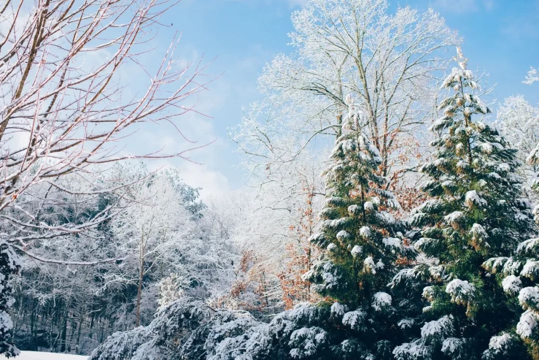 下雪了看看诗词中的雪之美,适合下雪的绝美诗句