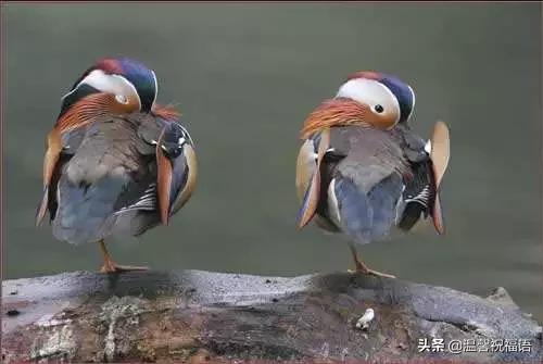 今天3月10，我的妈呀！谁编的，太好笑了，给群里乐一乐
