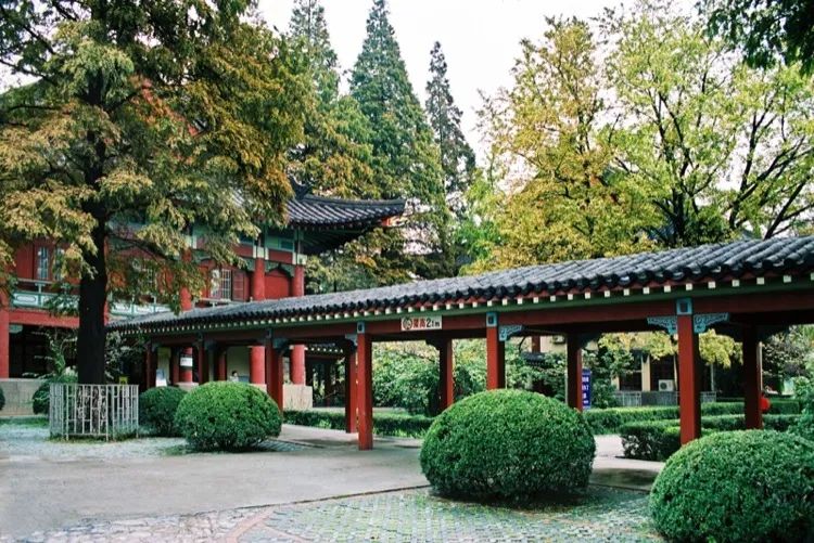 南京最牛教育资源！家长最向往的小学、初中、高中、大学