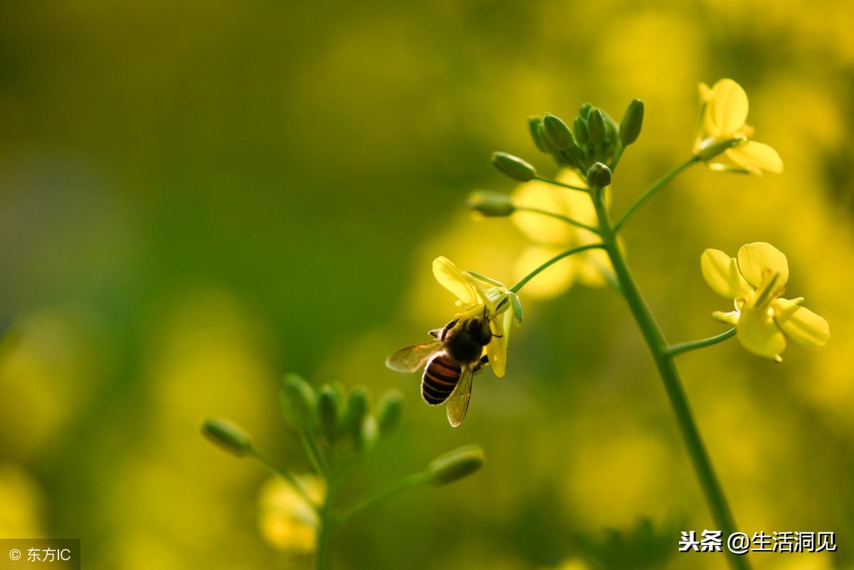 人心叵测要谨慎提防,人心叵测永远琢磨不透