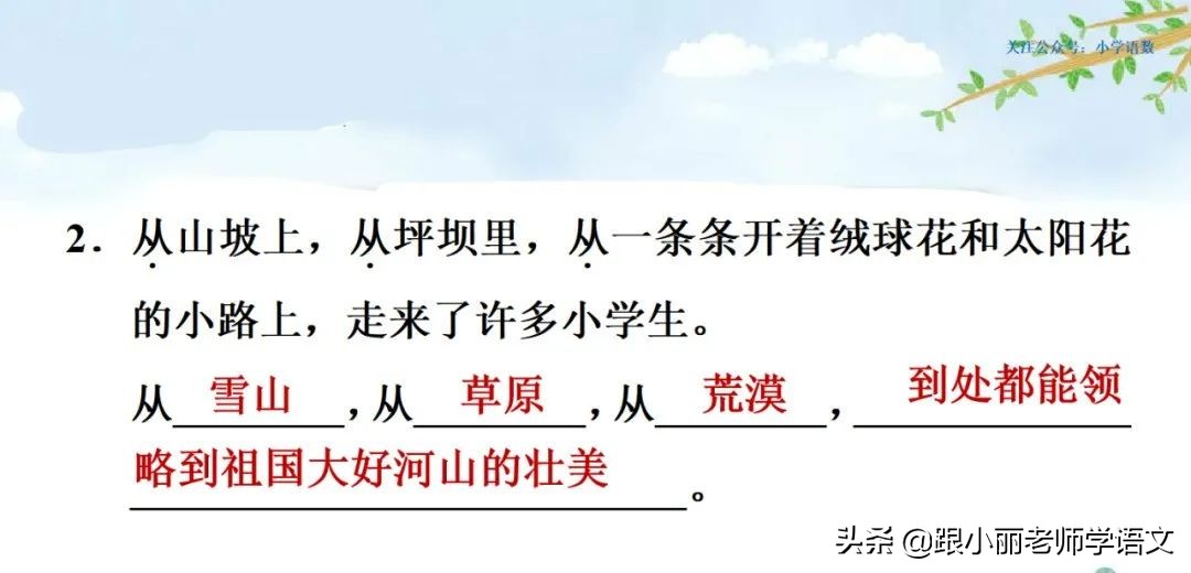 大青树下的小学重点知识点,大青树下的小学重点知识梳理