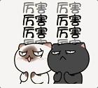 清流节目,清流综艺节目叫什么名字