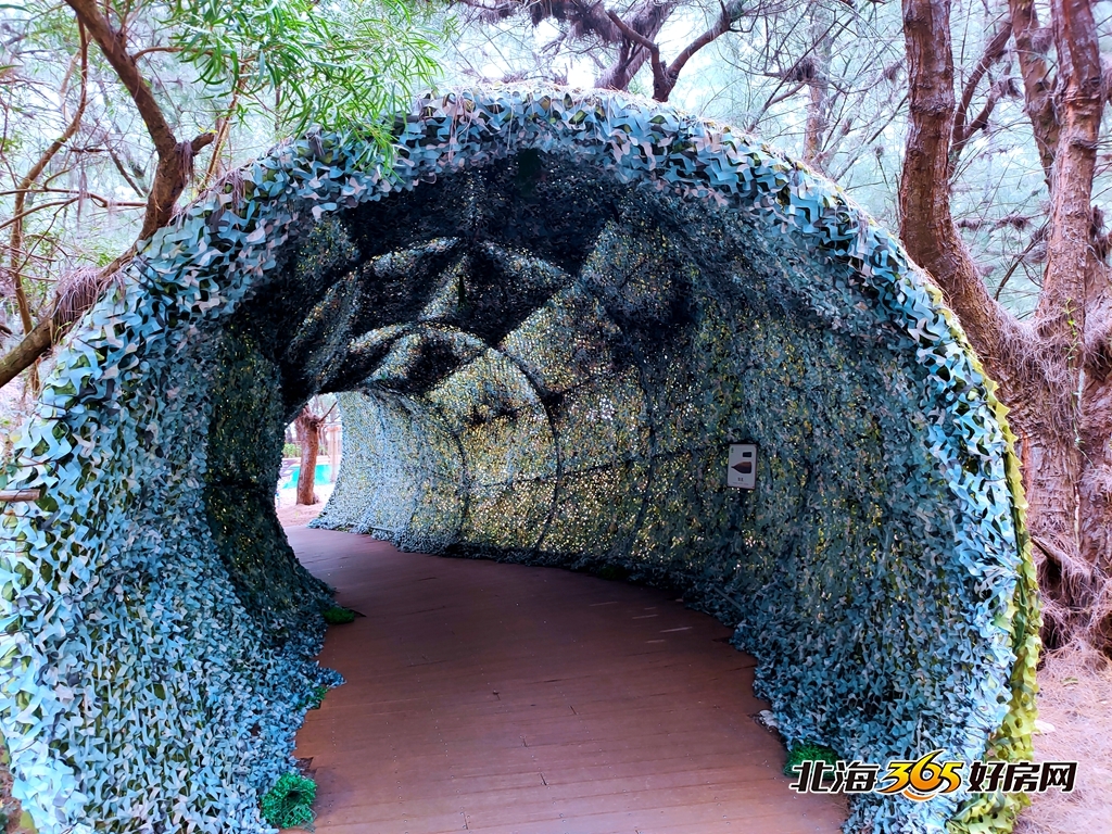 北海银滩的变化,广西北海银滩真实现状
