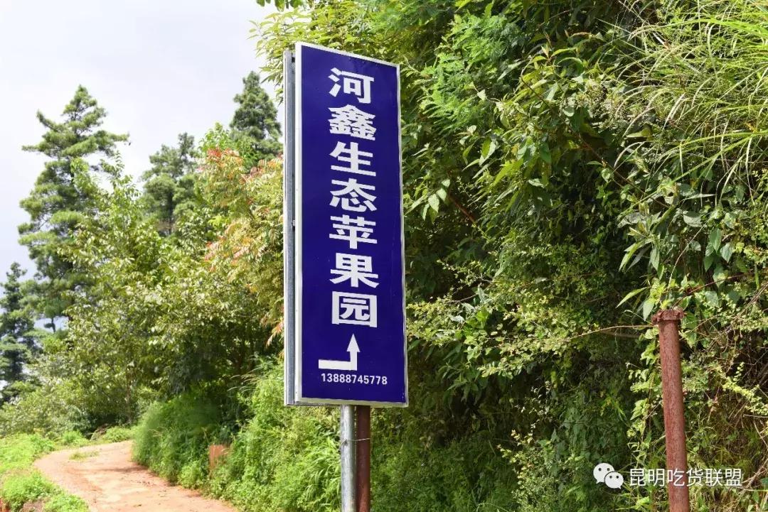 昆明采摘一日游,昆明采摘游