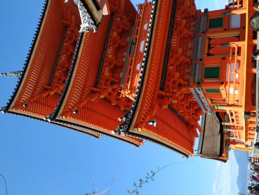 日本关西旅游14天,关西14天旅行攻略