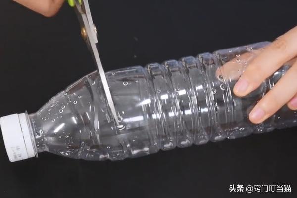 小常识灭蟑螂,灭蟑螂的最好方法家中无蟑螂