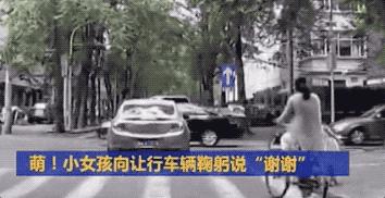 董卿你的站姿就是你的修养,董卿到底有多懂得礼貌