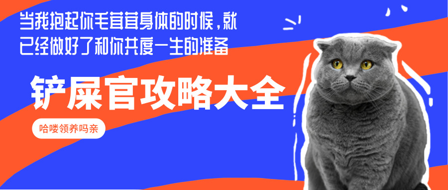 金毛宝宝养金毛的乐趣,金毛宝宝聪明活泼