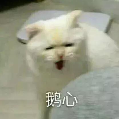 你发情期什么表现，女孩知道自己是肉吗……这居然是大学考题？
