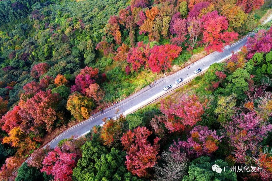 宜居宜业旅游攻略,广州从化的宜居小镇