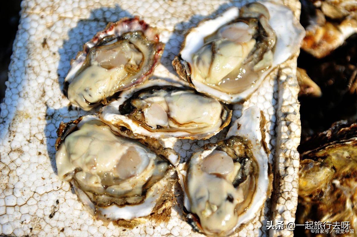 大连必吃的海鲜美食排行榜前十名,大连海鲜烟台海鲜哪个好吃