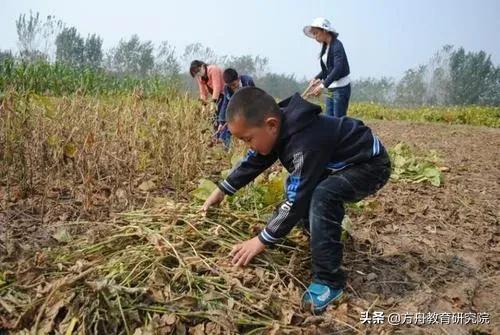 疫情下孩子学习攻略,疫情之下孩子能安心学习吗