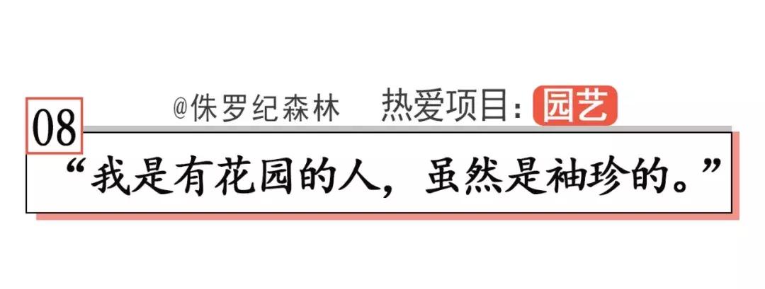当你觉得人生卡住了，我建议你看看他们