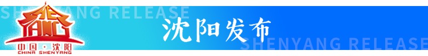 沈阳人才认定,沈阳人才认定网上申请在哪