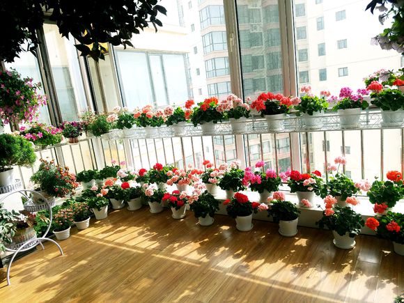 养花怕生虫？4个方法除“隐患”，土壤没虫卵病菌，养啥旺啥